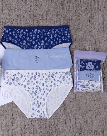 Набор хлопковых трусиков — слип (3 шт) (XL, 2XL, 3XL)