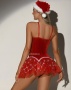 Соблазнительный  новогодний комплект