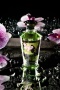 Съедобное массажное масло Shunga Midnight Sorbet, щербет, разогревающее, 100 мл