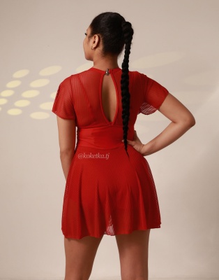 Купальник платье (низ шорты)